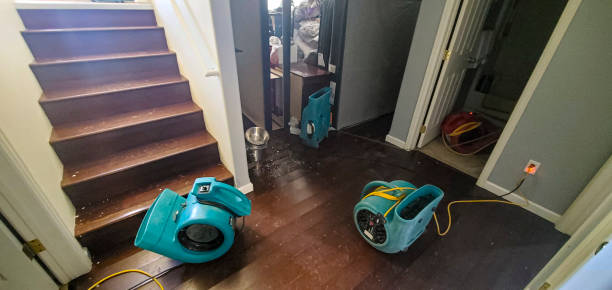 Best Mold removal after water damage  in Lebanon, OH
