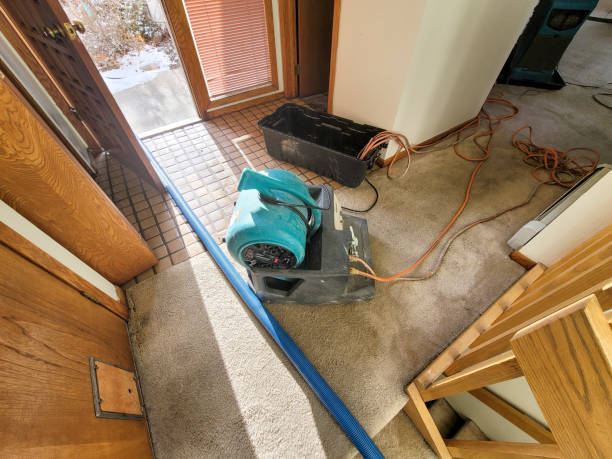 Best Mold removal after water damage  in Lebanon, OH