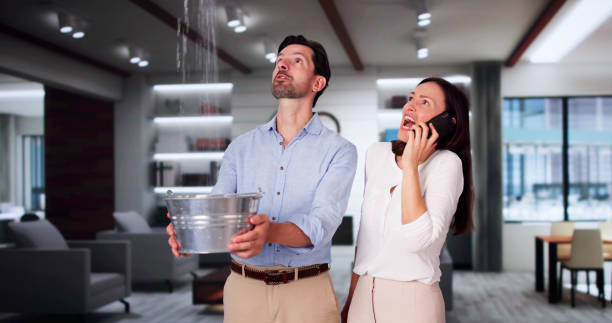 Best 24-hour water damage restoration  in Lebanon, OH